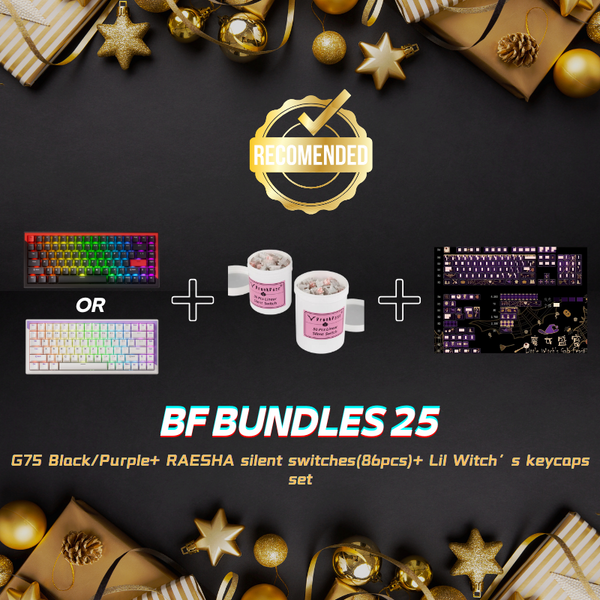 Black Friday Bundles 25